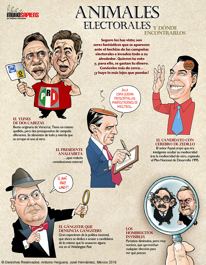 Animales electorales y dónde encontrarlos. Domingo 29 de mayo de 2016.